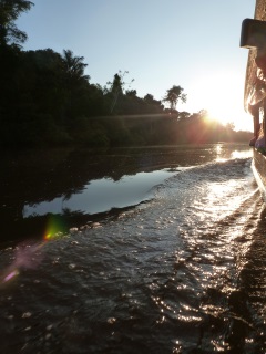 Amazon River Heals