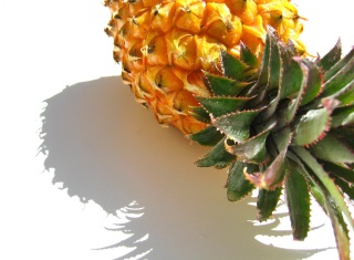 Pineapple Dreaming & Symbolic Cleaning